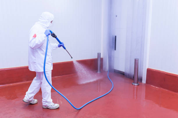 Best Building Exterior Washing  in Lake Shore, MD